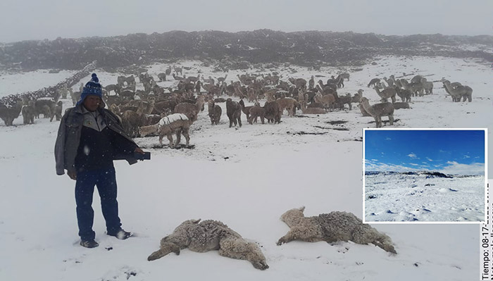 Intensas nevadas y lluvias persistentes se registran por fenómeno de la DANA Anibal en Apurímac